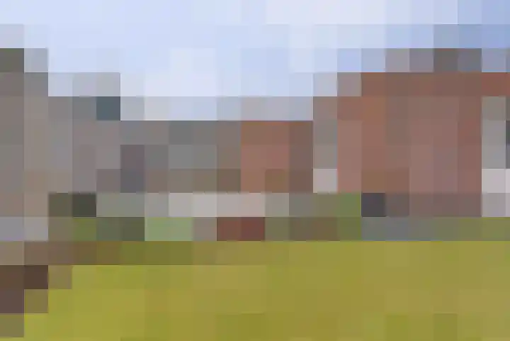 Suze Groeneweglaan 25 Elst thumbnail 30