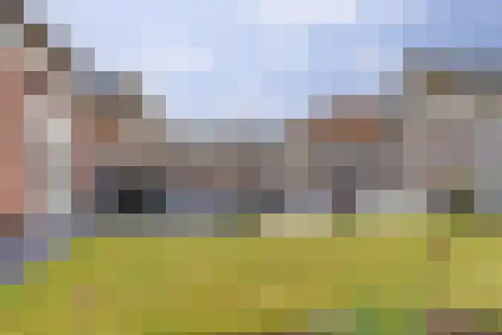 Suze Groeneweglaan 25 Elst thumbnail 32