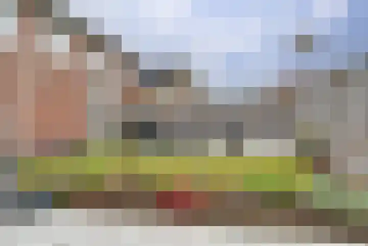 Suze Groeneweglaan 25 Elst thumbnail 33