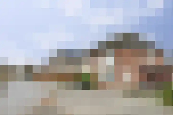 Suze Groeneweglaan 25 Elst thumbnail 36