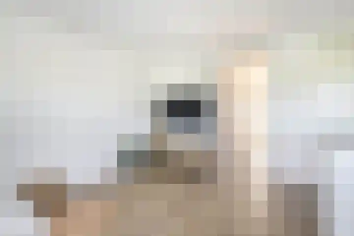 Suze Groeneweglaan 25 Rotterdam thumbnail 14