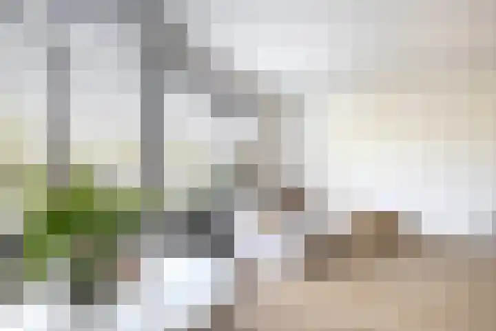 Suze Groeneweglaan 25 Rotterdam thumbnail 18