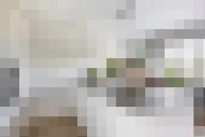 Suze Groeneweglaan 25 Rotterdam thumbnail 21