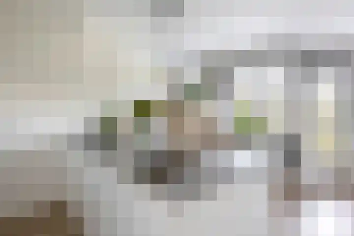 Suze Groeneweglaan 25 Rotterdam thumbnail 22