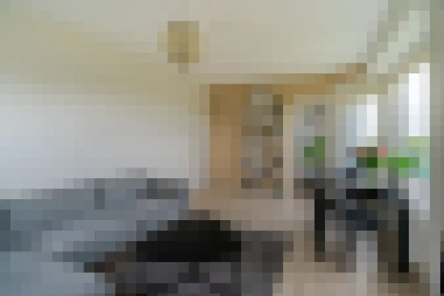 Suze Groeneweglaan 267 Rotterdam thumbnail 6
