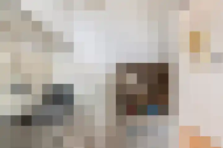 Suze Groeneweglaan 277 Rotterdam thumbnail 15