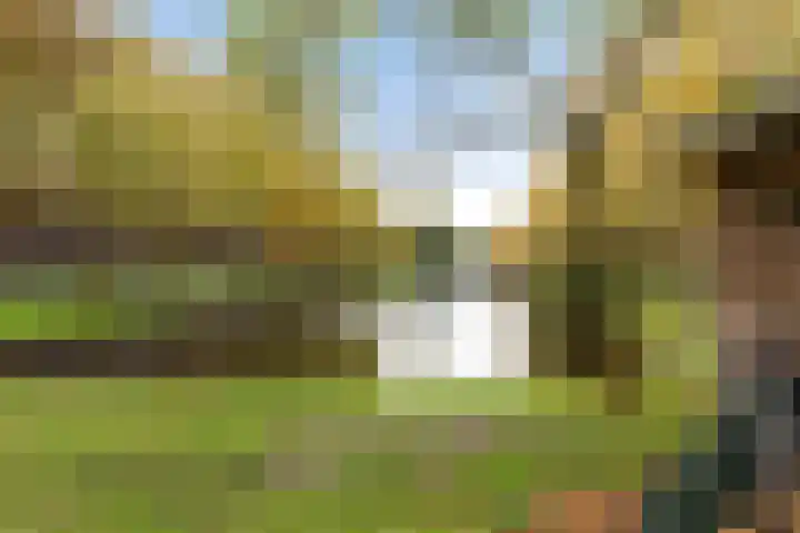 Suze Groeneweglaan 277 Rotterdam thumbnail 31