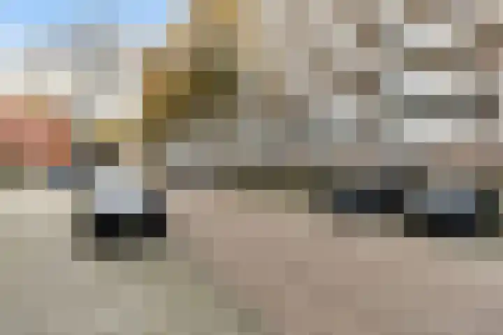 Suze Groeneweglaan 277 Rotterdam thumbnail 32