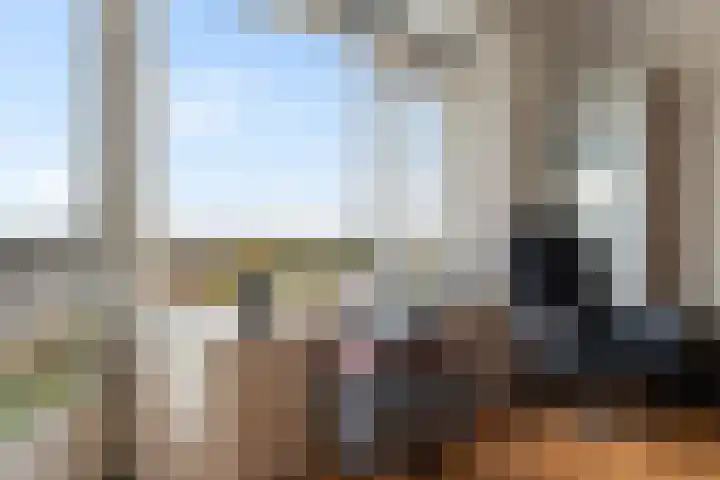 Suze Groeneweglaan 277 Rotterdam thumbnail 8