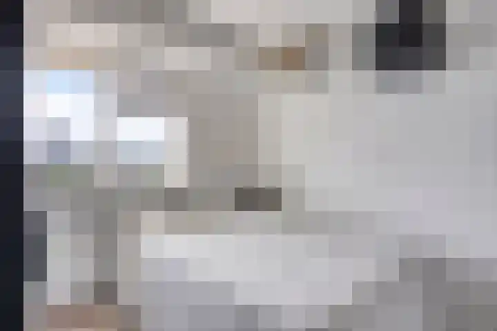 Suze Groeneweglaan 281 Rotterdam thumbnail 16
