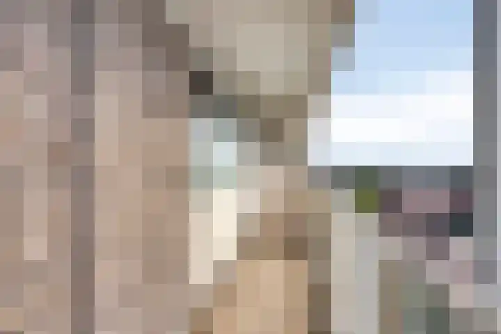 Suze Groeneweglaan 281 Rotterdam thumbnail 19