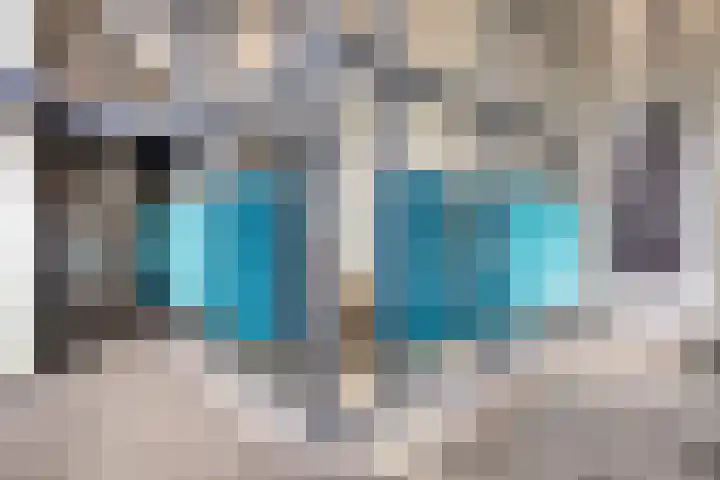 Suze Groeneweglaan 281 Rotterdam thumbnail 21