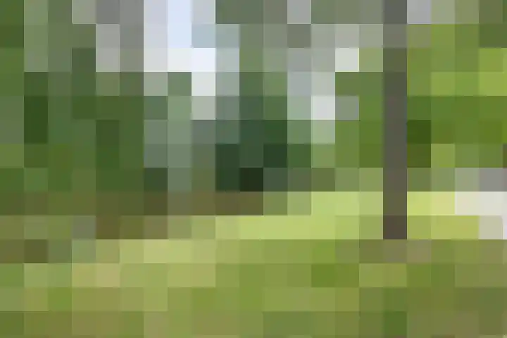 Suze Groeneweglaan 281 Rotterdam thumbnail 24