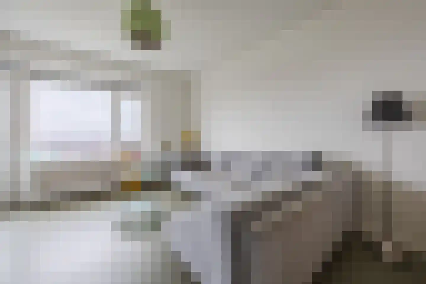 Suze Groeneweglaan 313 Rotterdam thumbnail 11