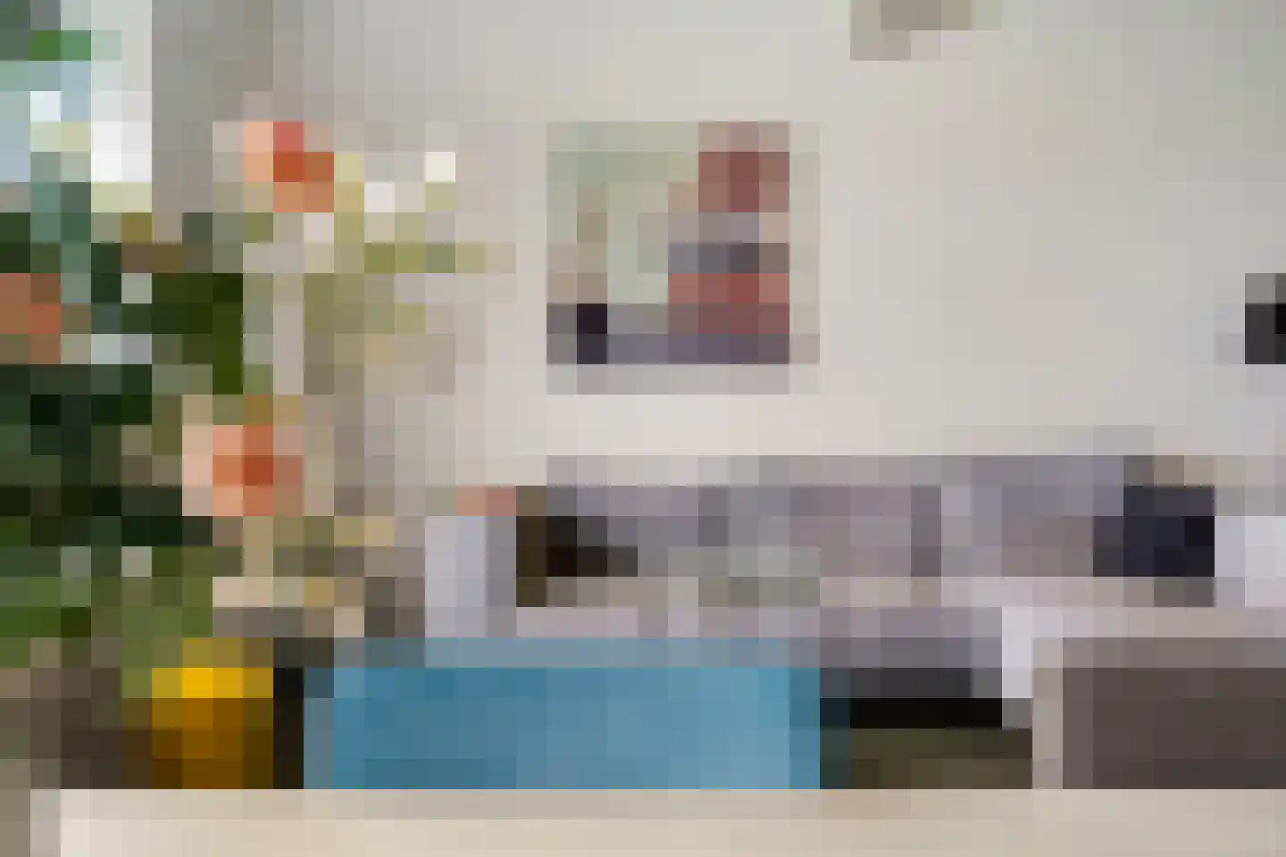 Suze Groeneweglaan 313 Rotterdam thumbnail 11