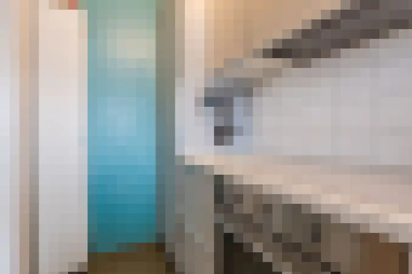 Suze Groeneweglaan 313 Rotterdam thumbnail 21
