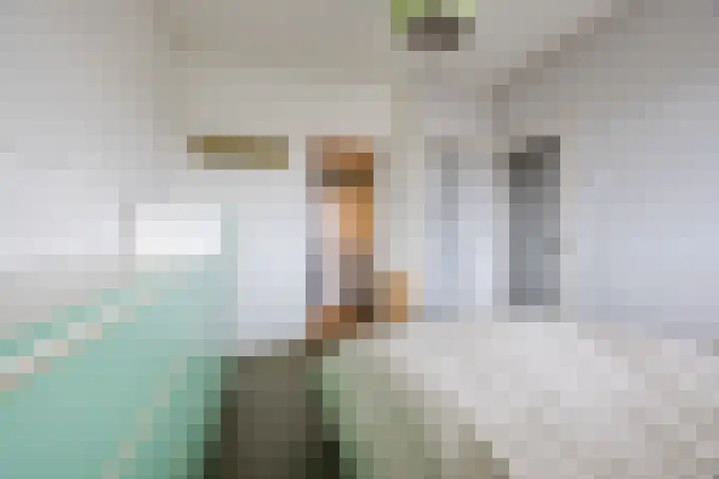 Suze Groeneweglaan 313 Rotterdam thumbnail 23