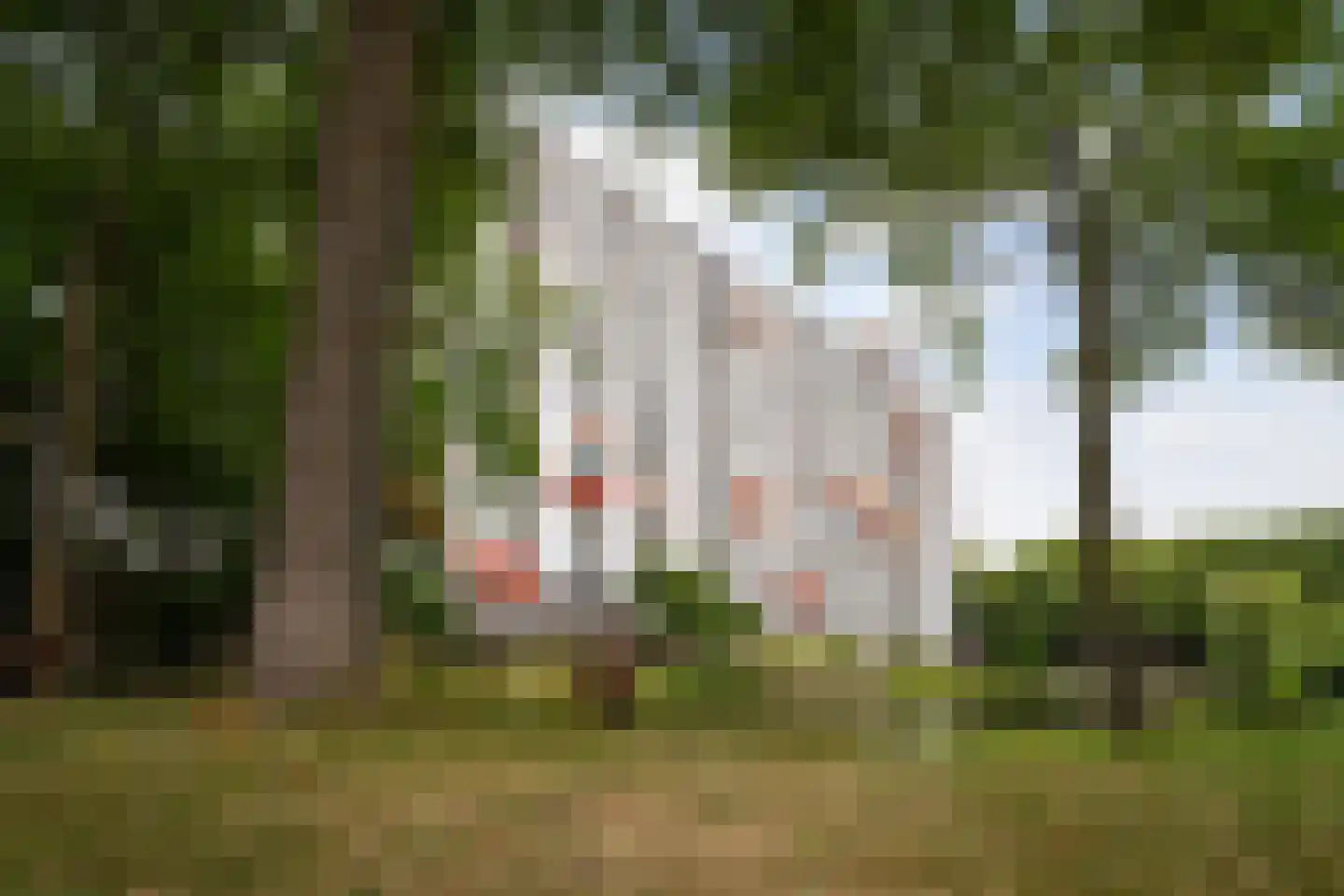 Suze Groeneweglaan 313 Rotterdam thumbnail 37