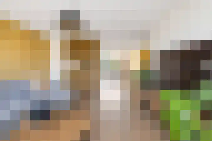 Suze Groeneweglaan 66 Vlissingen thumbnail 10