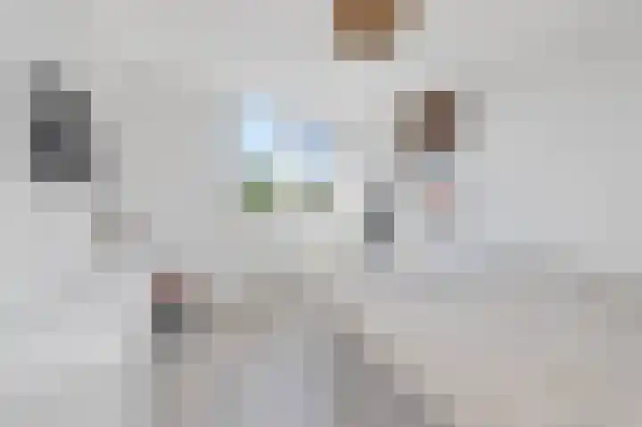 Suze Groeneweglaan 66 Vlissingen thumbnail 30