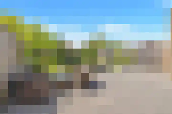 Suze Groeneweglaan 66 Vlissingen thumbnail 39
