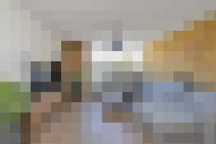 Suze Groeneweglaan 66 Vlissingen thumbnail 7