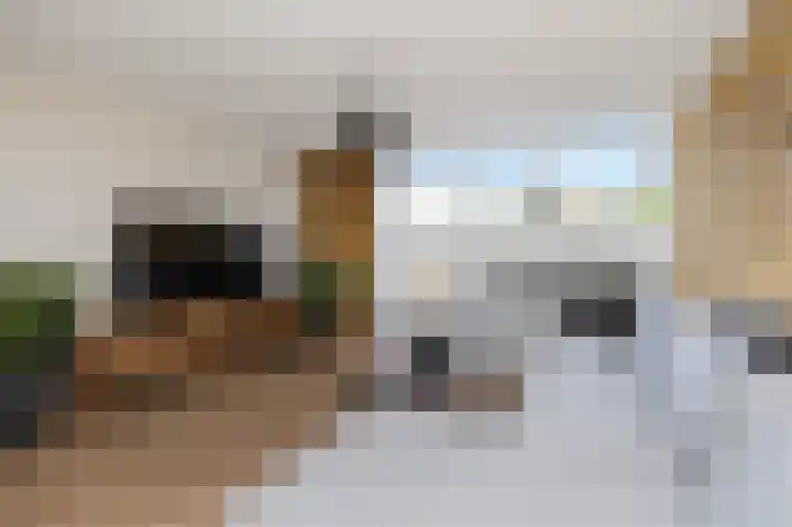 Suze Groeneweglaan 66 Vlissingen thumbnail 8