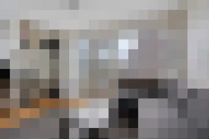 Suze Groeneweglaan 77 Rotterdam thumbnail 10