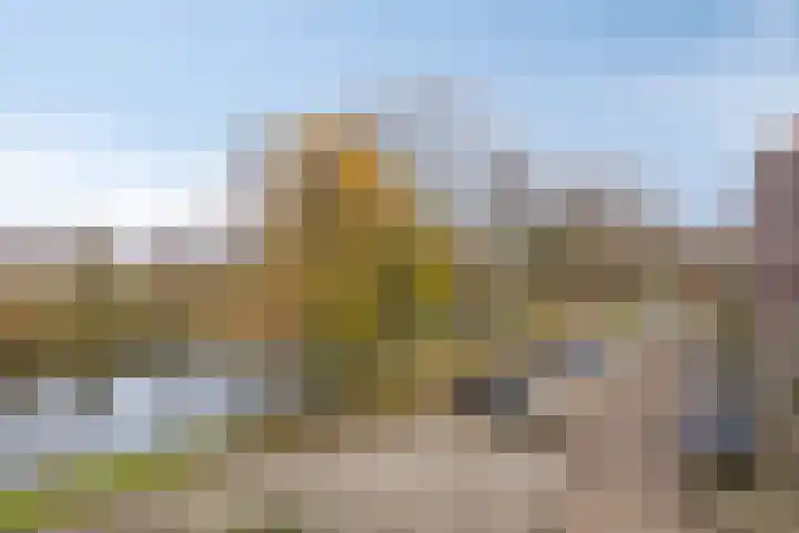 Suze Groeneweglaan 77 Rotterdam thumbnail 13