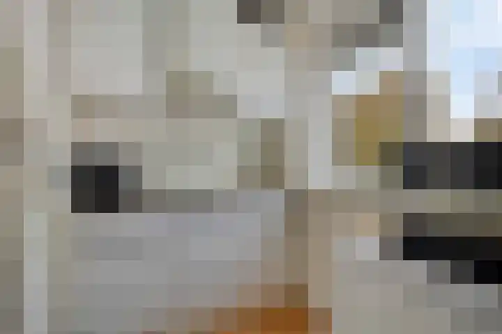 Suze Groeneweglaan 77 Rotterdam thumbnail 16