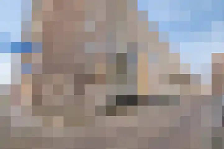 Suze Groeneweglaan 77 Rotterdam thumbnail 7