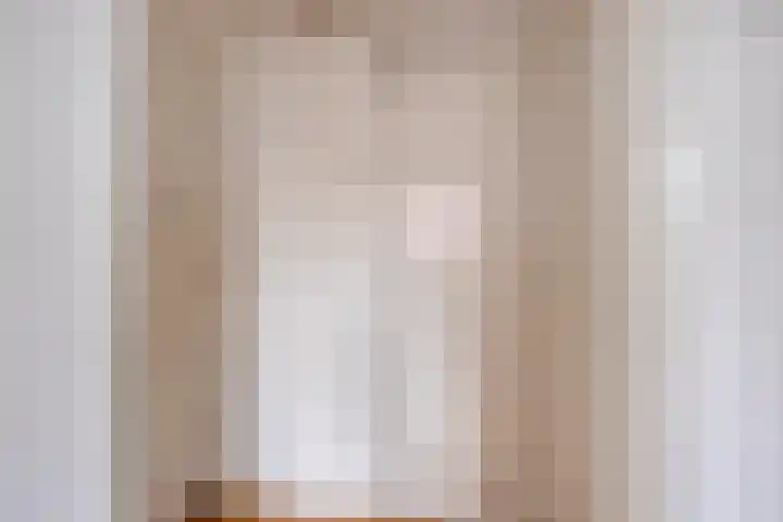 Suze Groeneweglaan 77 Rotterdam thumbnail 9