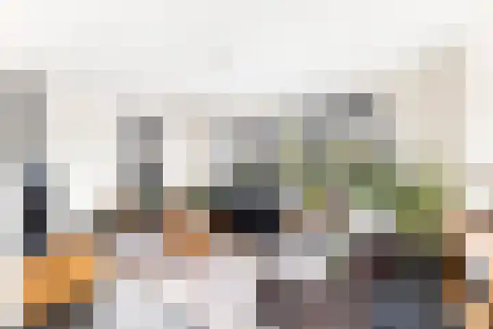 Suze Groeneweglaan 79 Vlissingen thumbnail 11