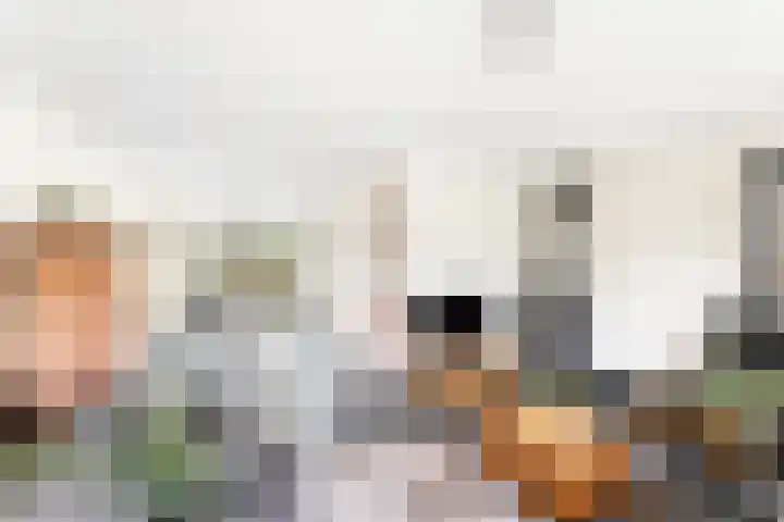 Suze Groeneweglaan 79 Vlissingen thumbnail 14