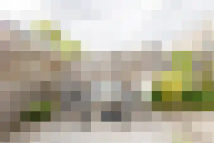 Suze Groeneweglaan 79 Vlissingen thumbnail 26