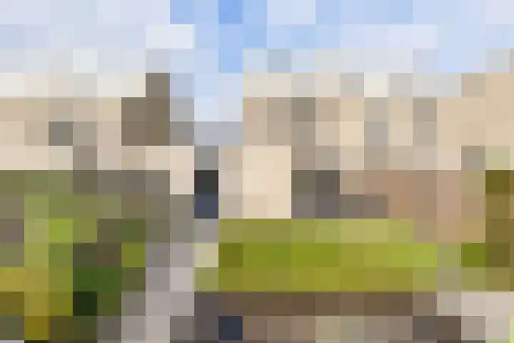 Suze Groeneweglaan 79 Vlissingen thumbnail 27