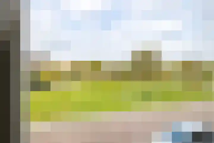 Suze Groeneweglaan 79 Vlissingen thumbnail 31