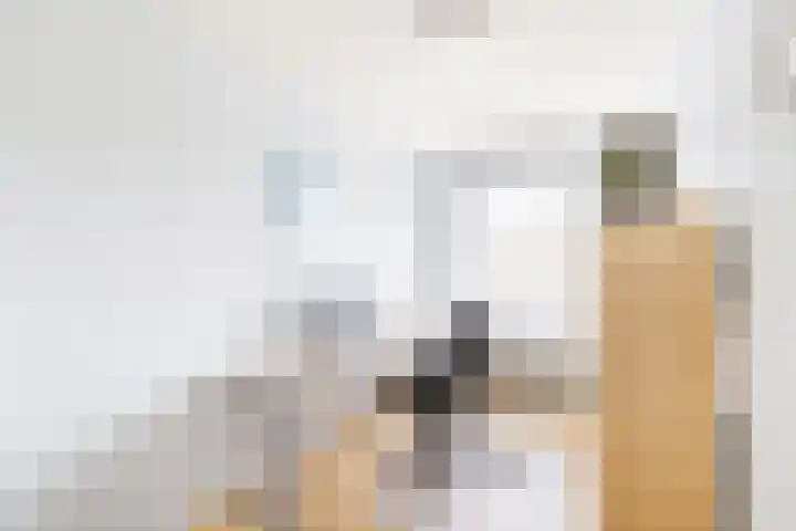 Suze Groeneweglaan 79 Vlissingen thumbnail 34
