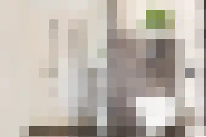 Suze Groeneweglaan 79 Vlissingen thumbnail 37