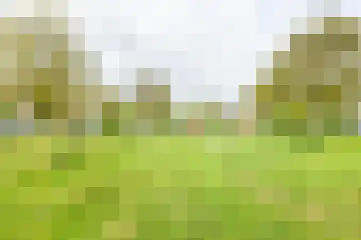 Suze Groeneweglaan 79 Vlissingen thumbnail 6