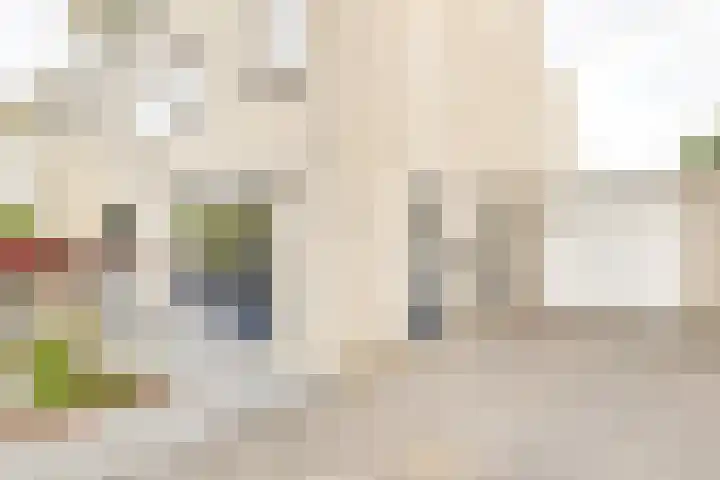 Suze Groeneweglaan 79 Vlissingen thumbnail 7