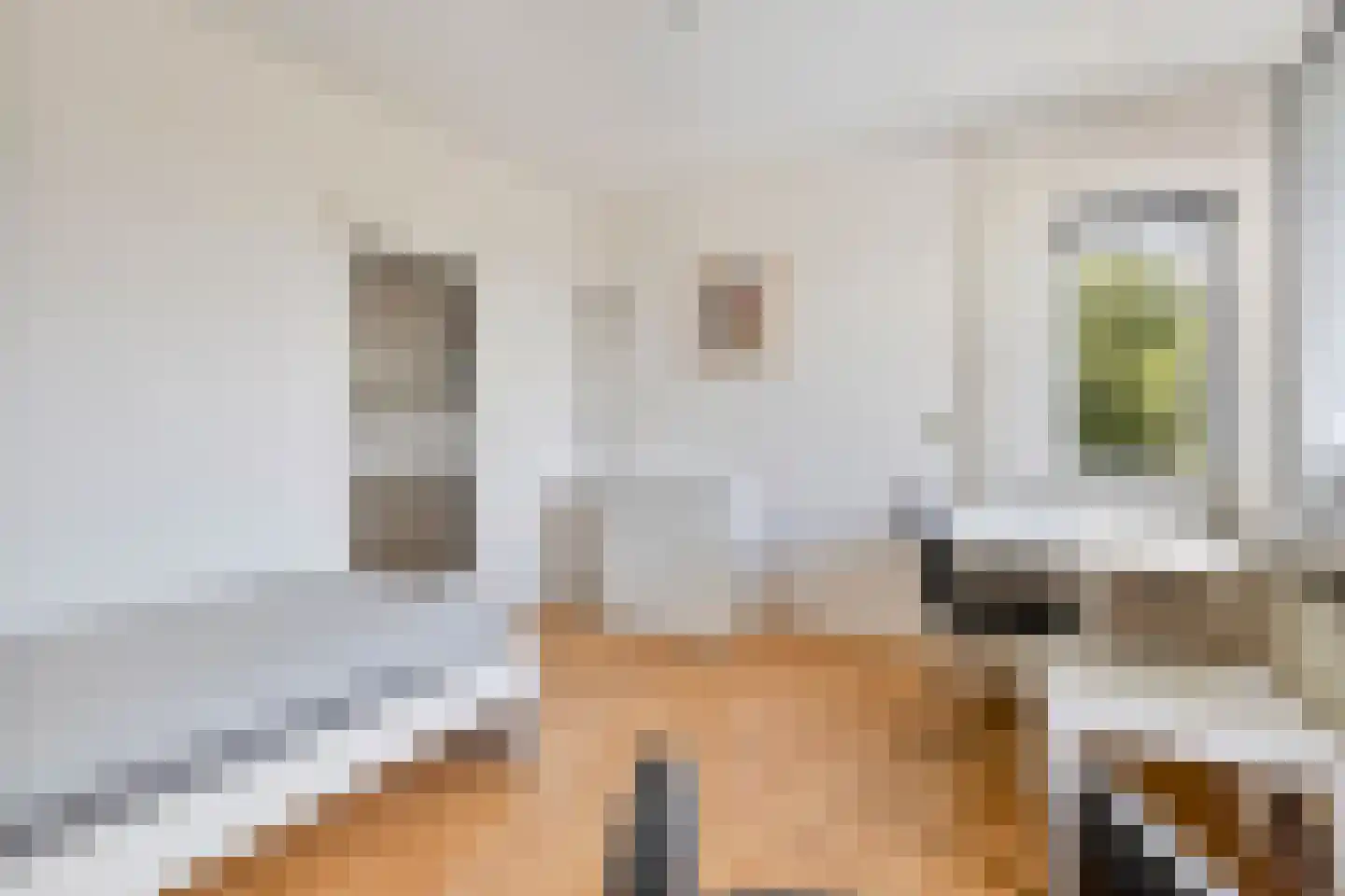 Suze Groeneweglaan 83 Rotterdam thumbnail 10