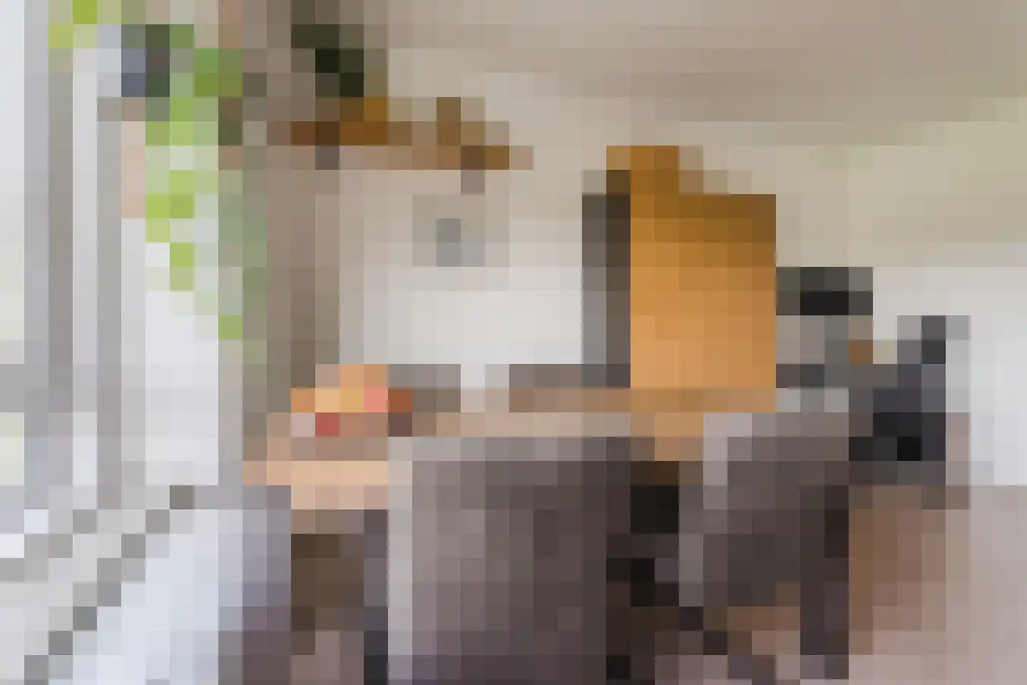 Suze Groeneweglaan 99 Rotterdam thumbnail 18