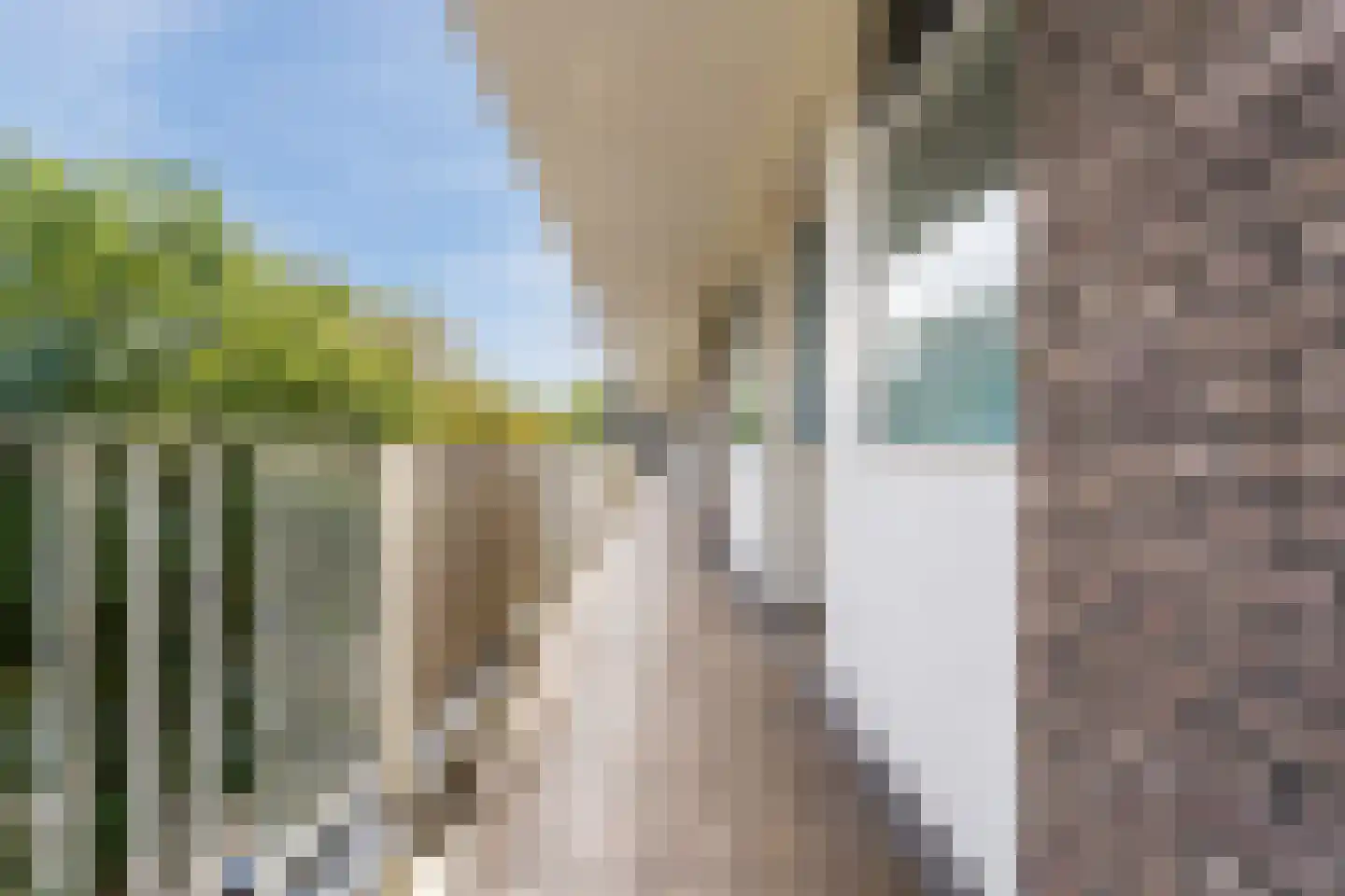 Suze Groeneweglaan 99 Rotterdam thumbnail 24