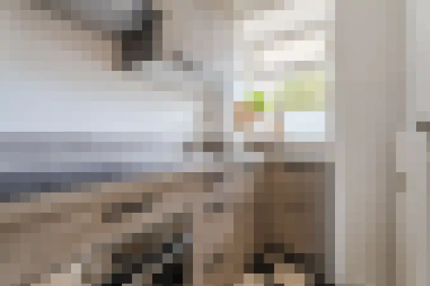 Suze Groeneweglaan 99 Rotterdam thumbnail 4