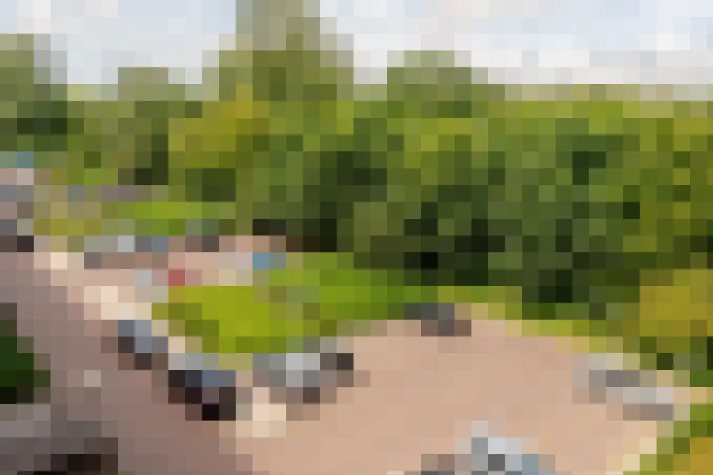 Suze Groenewegplantsoen 33 Amsterdam thumbnail 17
