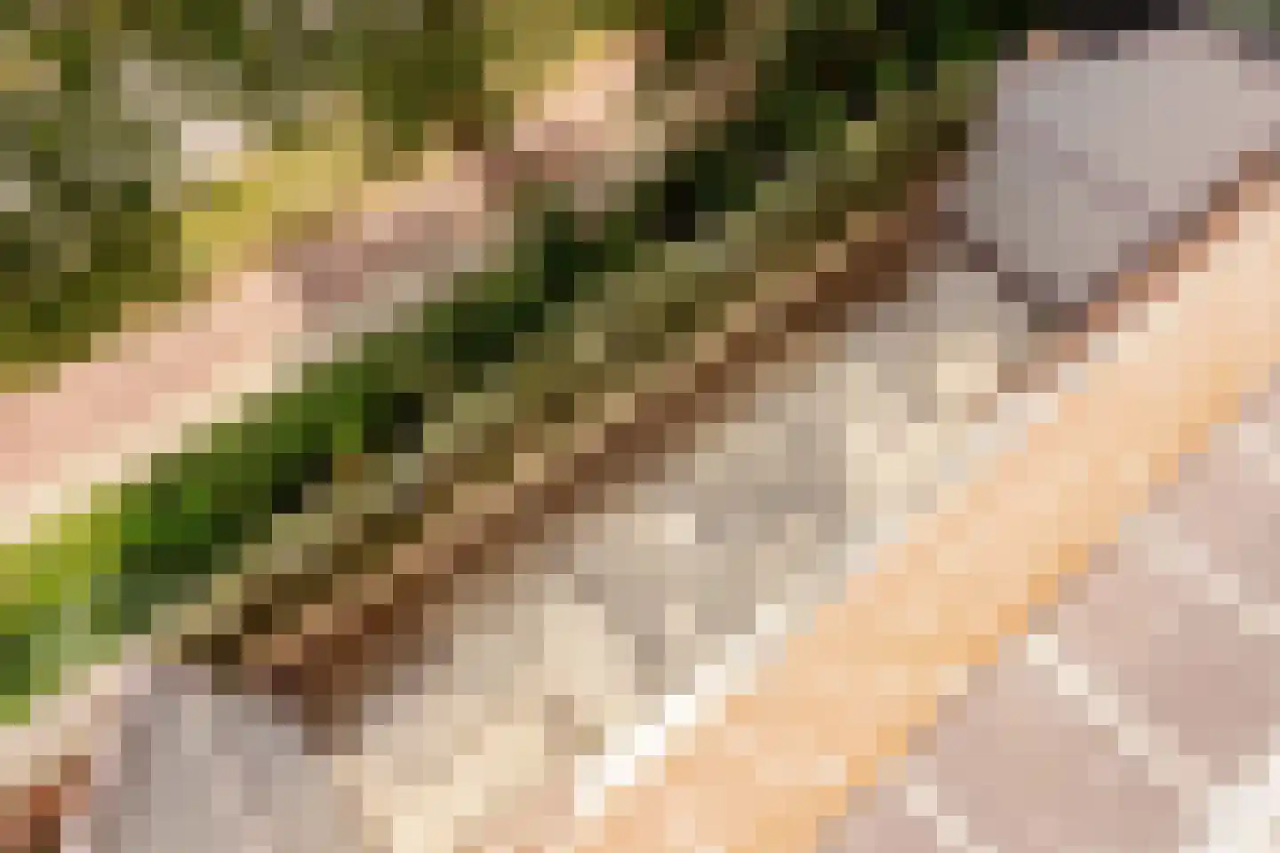 Suze Groenewegplantsoen 33 Amsterdam thumbnail 21
