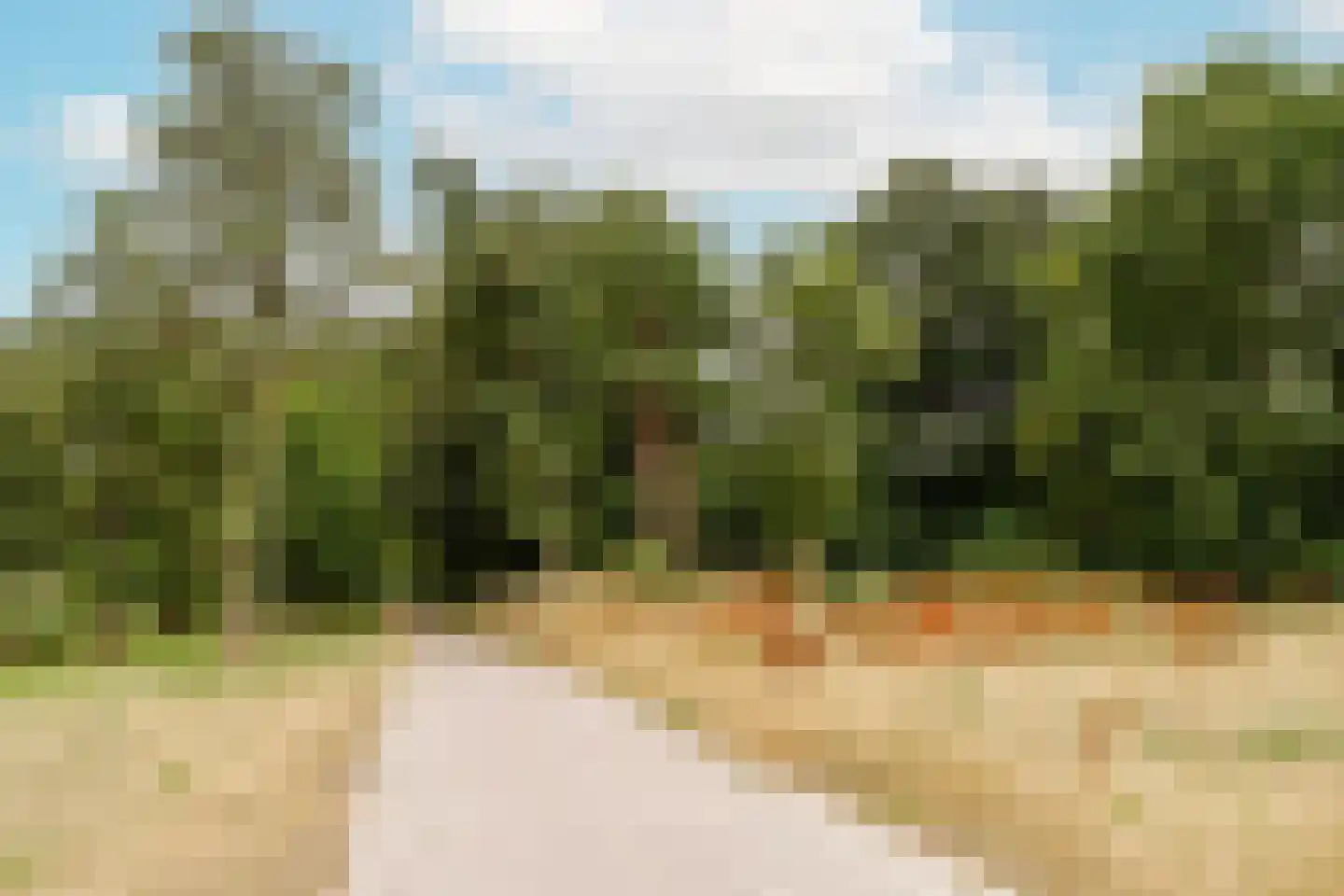 Suze Groenewegplantsoen 33 Amsterdam thumbnail 32