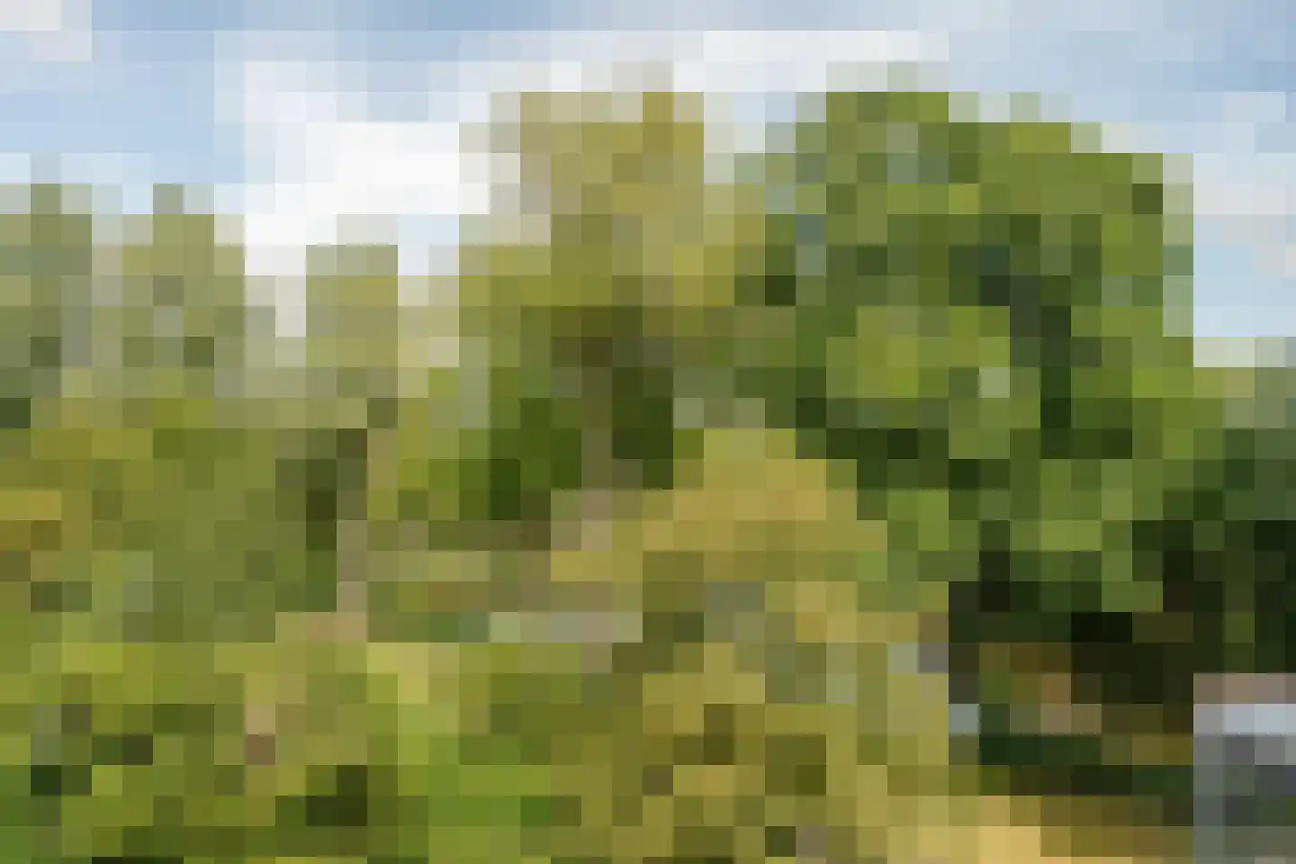 Suze Groenewegplantsoen 33 Amsterdam thumbnail 4