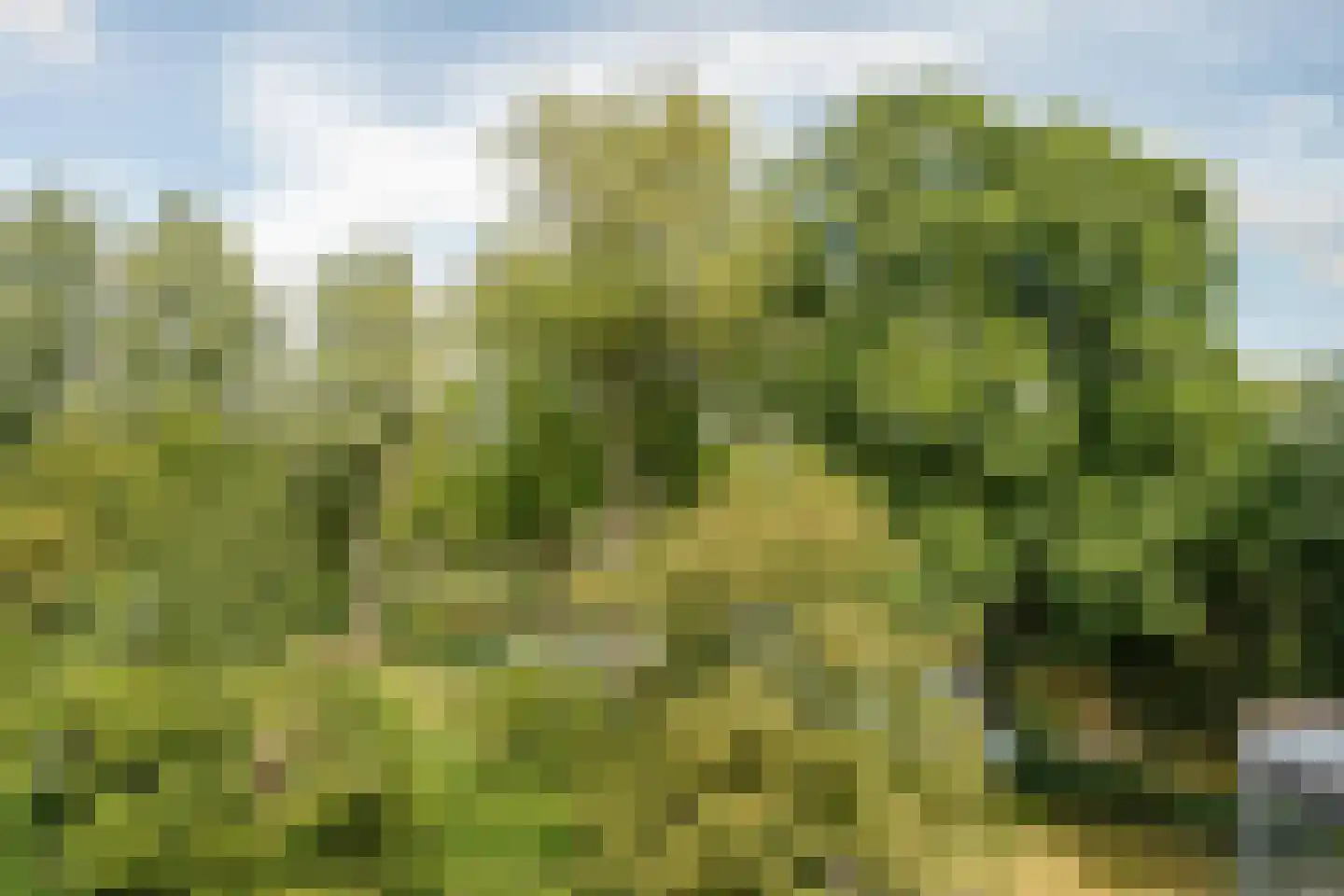 Suze Groenewegplantsoen 33 Amsterdam thumbnail 4